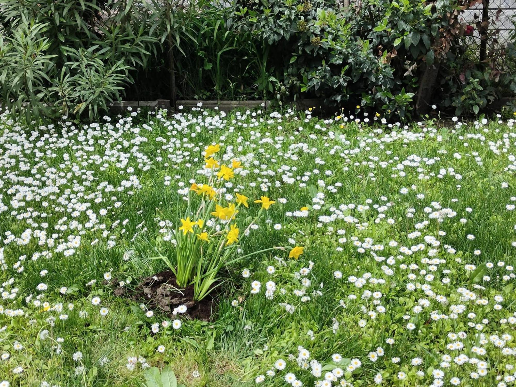 Grigio Perla Panigale, Villetta Con Giardino E Parcheggio Privato Fino A Tre Posti Auto - Un Oasi Di Tranqullita Bologna Exterior foto